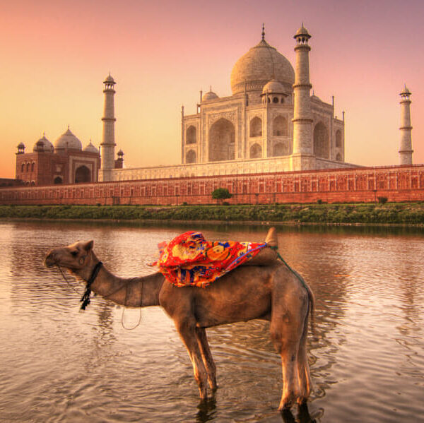 Agra tour package from Delhi