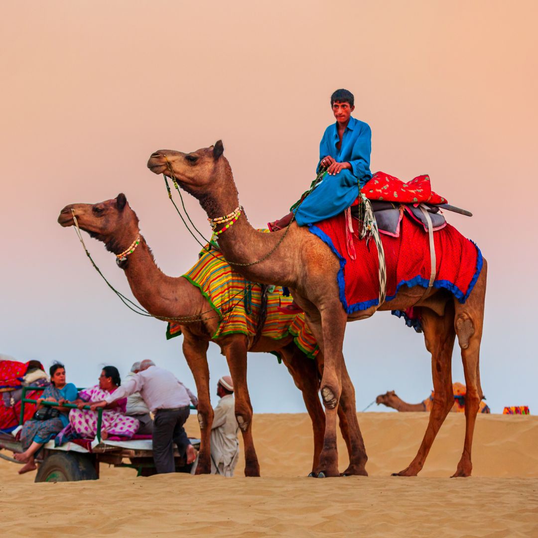 Rajasthan's Luxury Palaces and Havelis